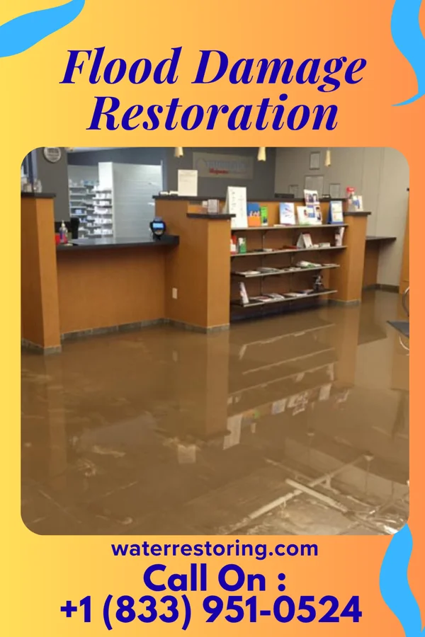 Flood Damage Restoration in Kinmundy, IL